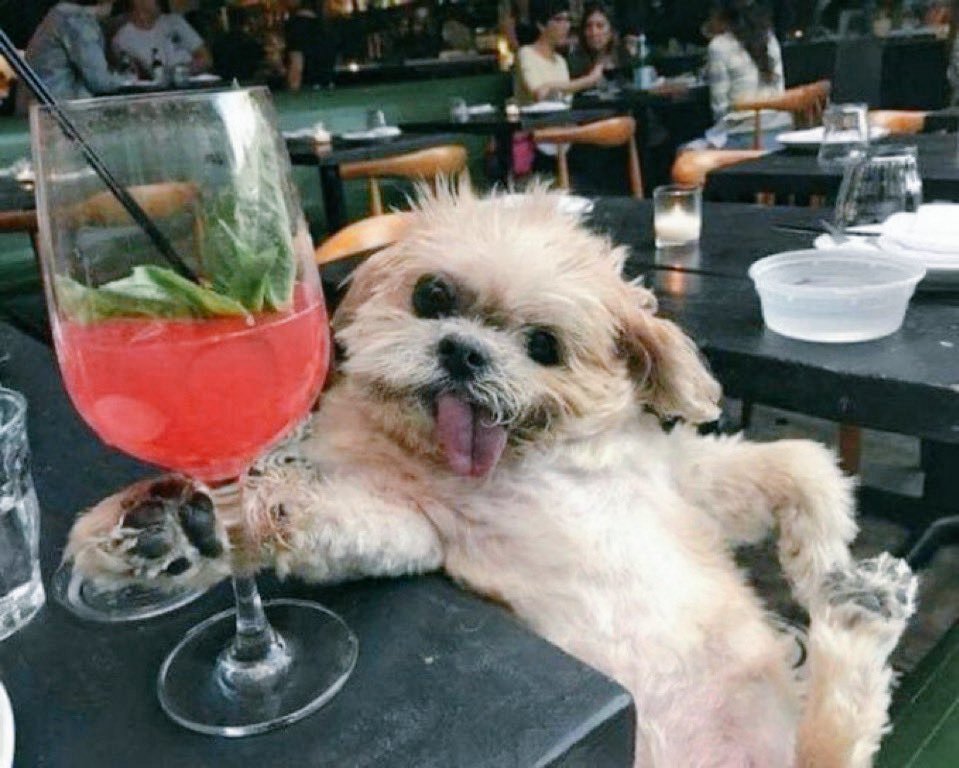 ヨスガ tweet media