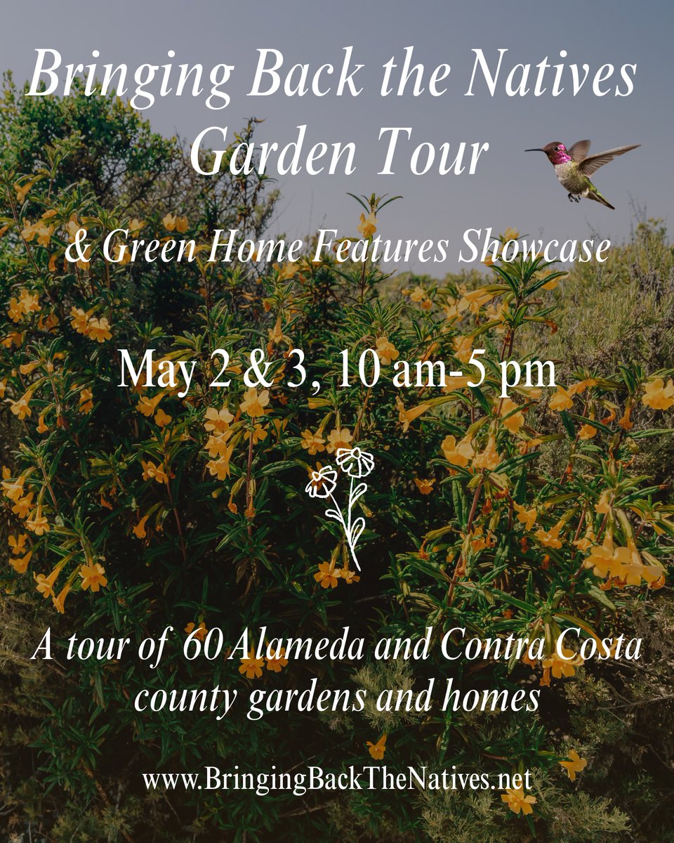 SF Bay Bird Observatory tweet media