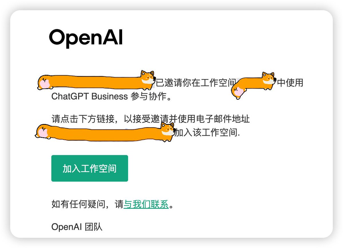 最爱吃兽奶的兔🐰 tweet media