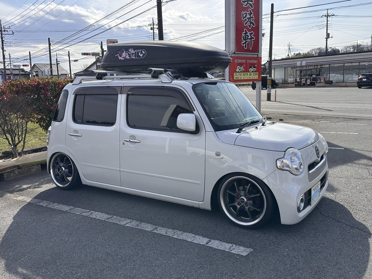 おはようねこさん。 tweet media