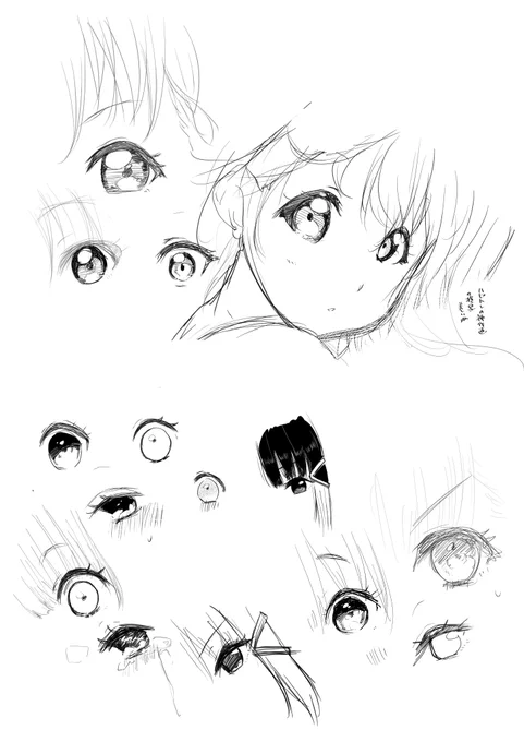 お目々の研究だぁね👀 