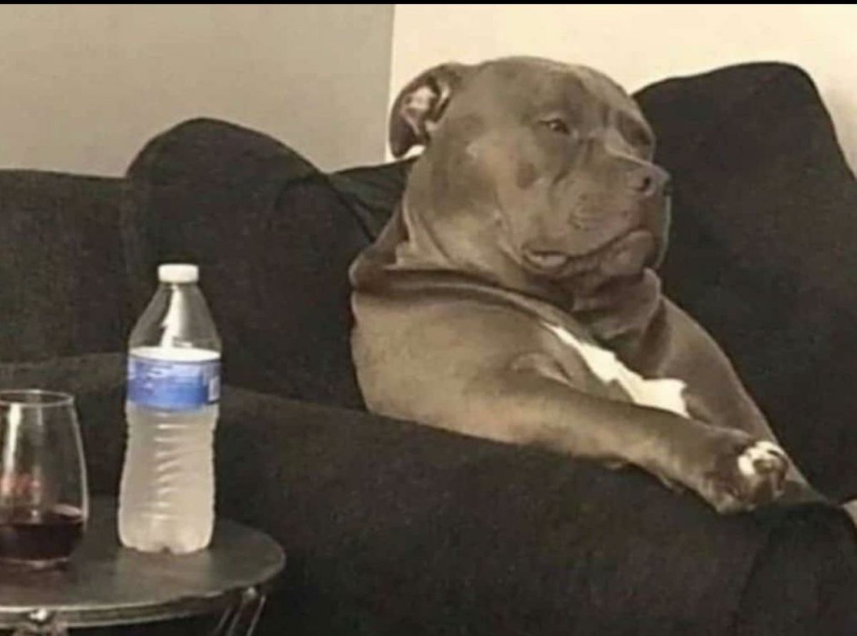 Web3 Priest📿 tweet media