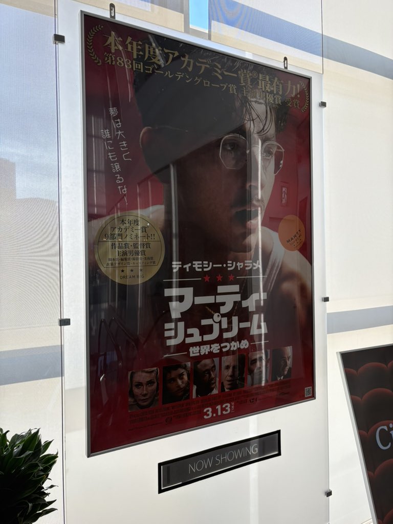 マーティ・シュプリームを観た。