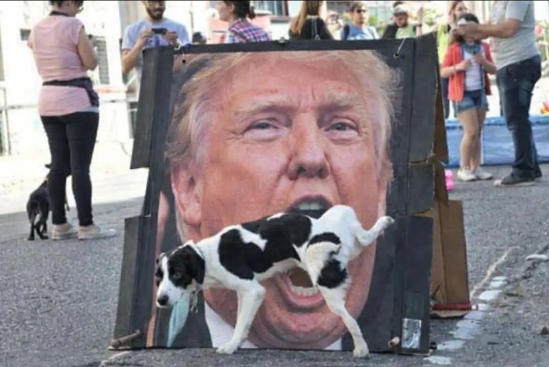 MuhammadUz86068's tweet photo. @WhiteHouse When Donald truck is talking about Iran 😂 https://t.co/Xuk2GId36o