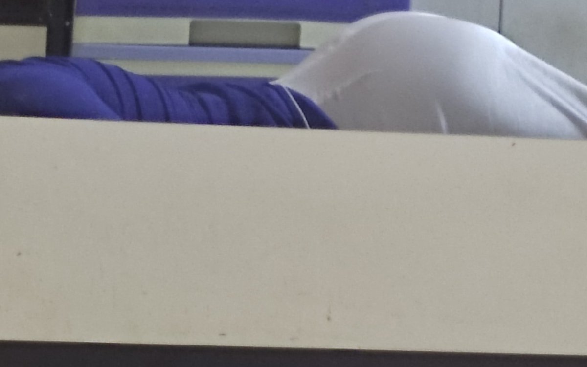 Pyotraaa tweet media