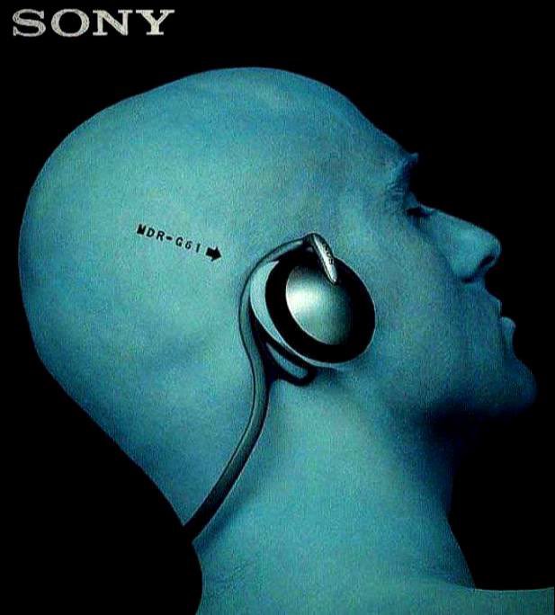 𝐬𝐨𝐯 tweet media