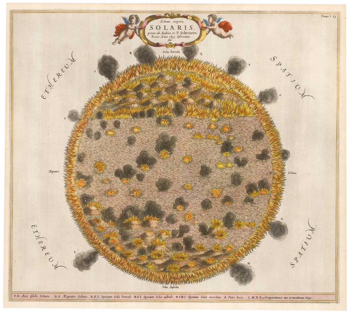 Lobstar Wilde tweet media