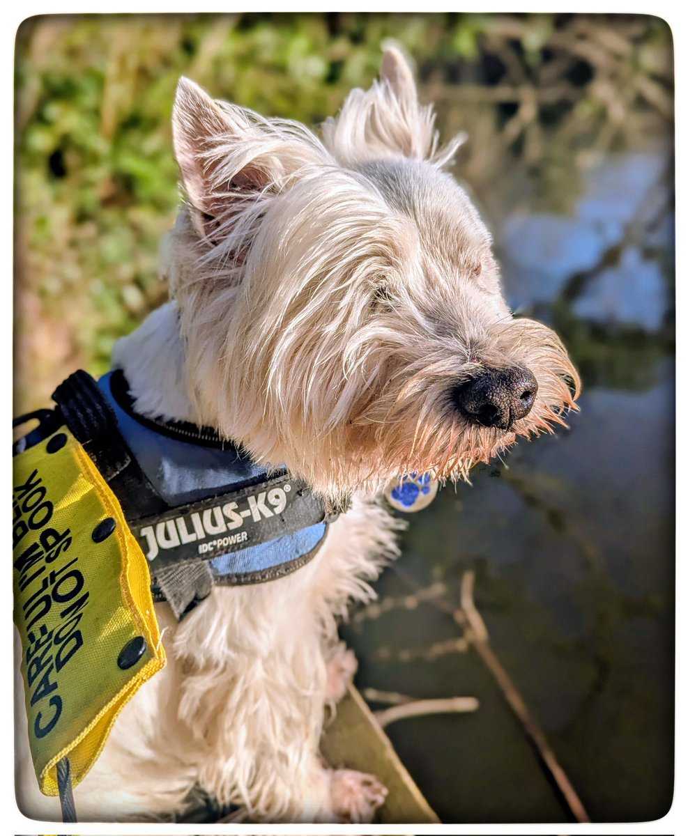 suzanne masters tweet media