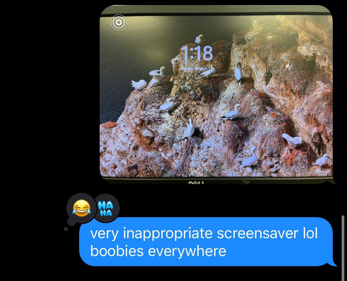 Poopacabra_'s tweet photo. very inappropriate work screensavers https://t.co/bZqIdtUpbu