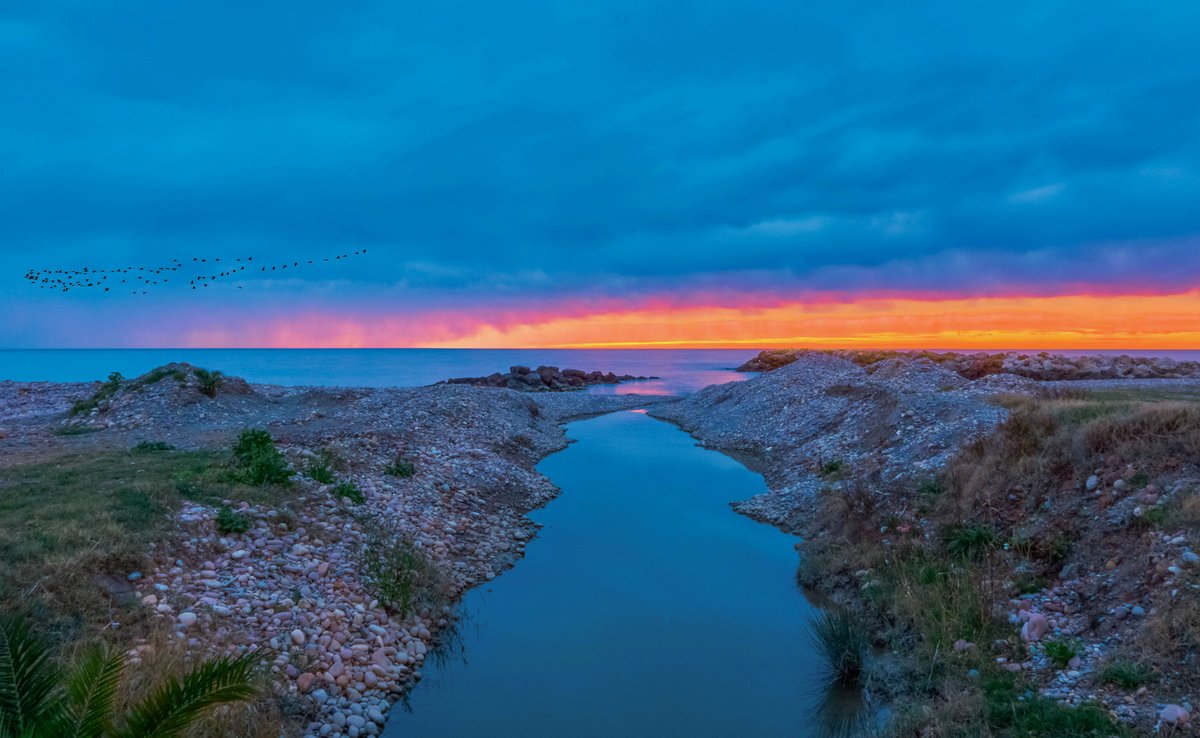 mayechatx91's tweet photo. #BonDia ☁️
#BuenosDías #baja #mar y intento de #arrebol al #amanecer con #cortinas de #lluvia en el #horizonte en #ElPuig #València
@elpuigturistico @MeteoMorella @apuntoratge @oratgenet @avamet @Valencia_WX @1967fct @jcfortea @valenciabonita_ @Valenciaturismo https://t.co/cIgx3W34n2