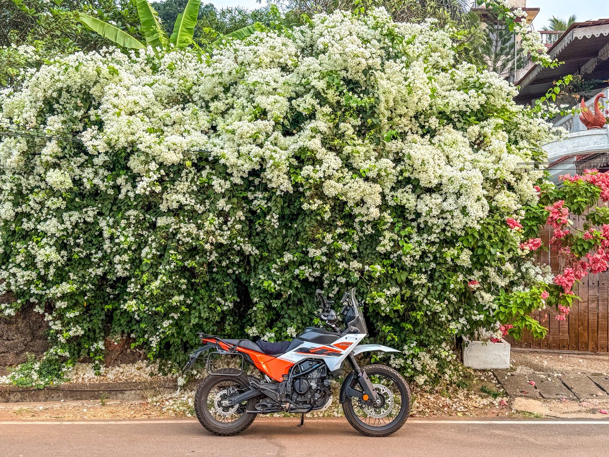 DeelipMenezes's tweet image. #goa #ktm390adventure