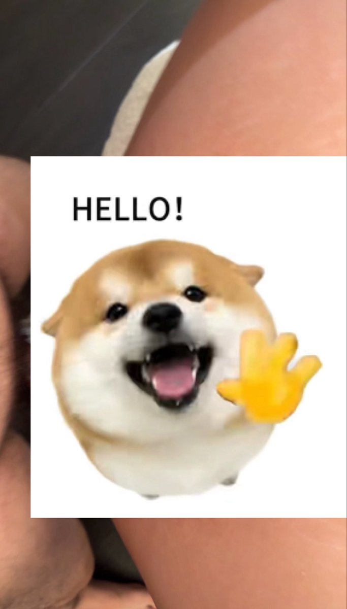 seventeen tweet media