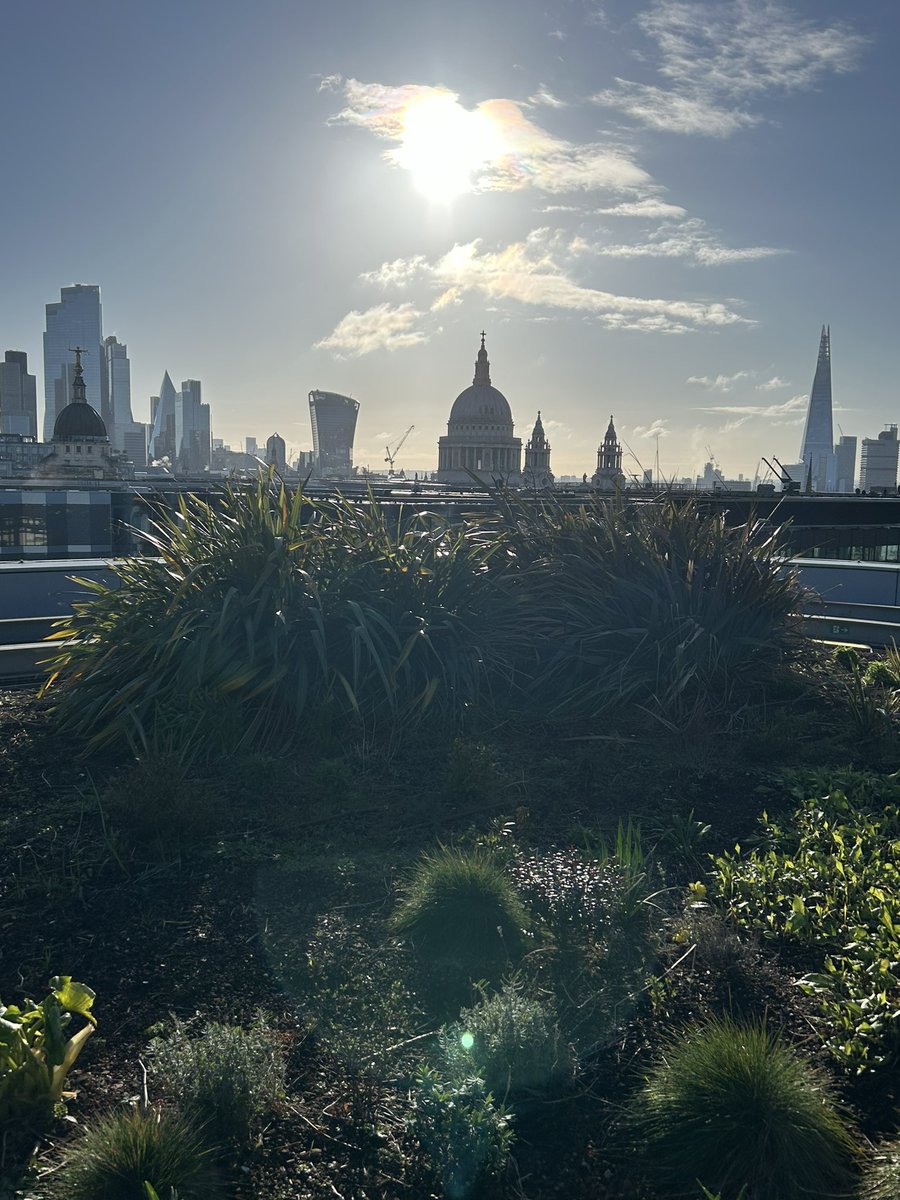 Jon Betts tweet media