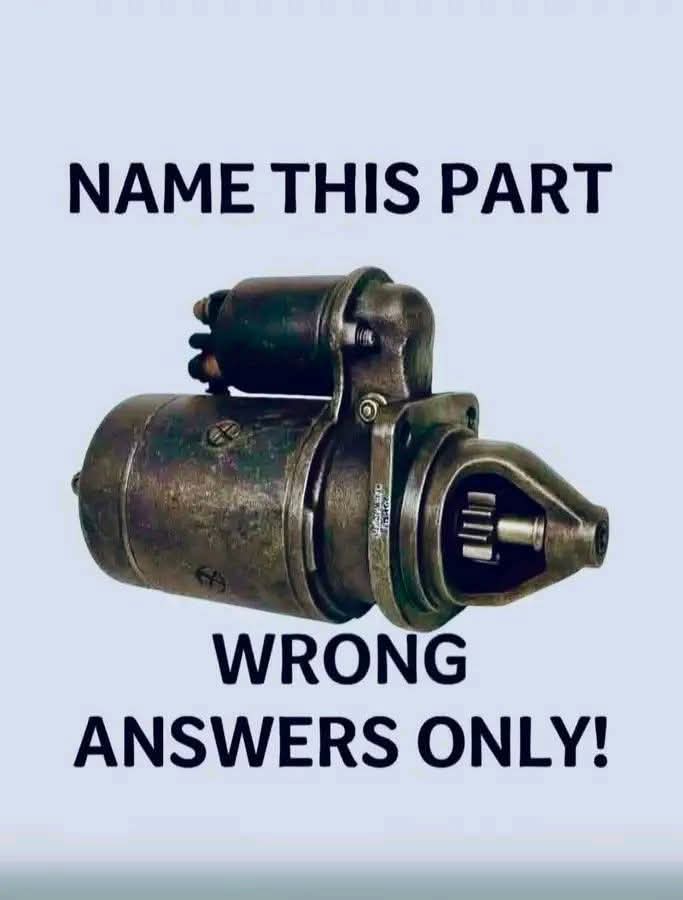 Elizabeth❣️ tweet media