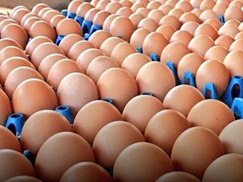 เริ่มละ!!
#ไข่ไก่ ขึ้นราคา ปรับเพิ่มขึ้นแผงละ 6 บาท มีผลจันทร์ที่ 16 มี.ค.นี้