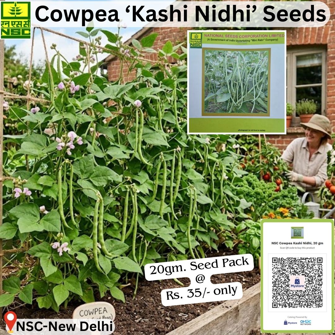 National Seeds Corporation Limited tweet media