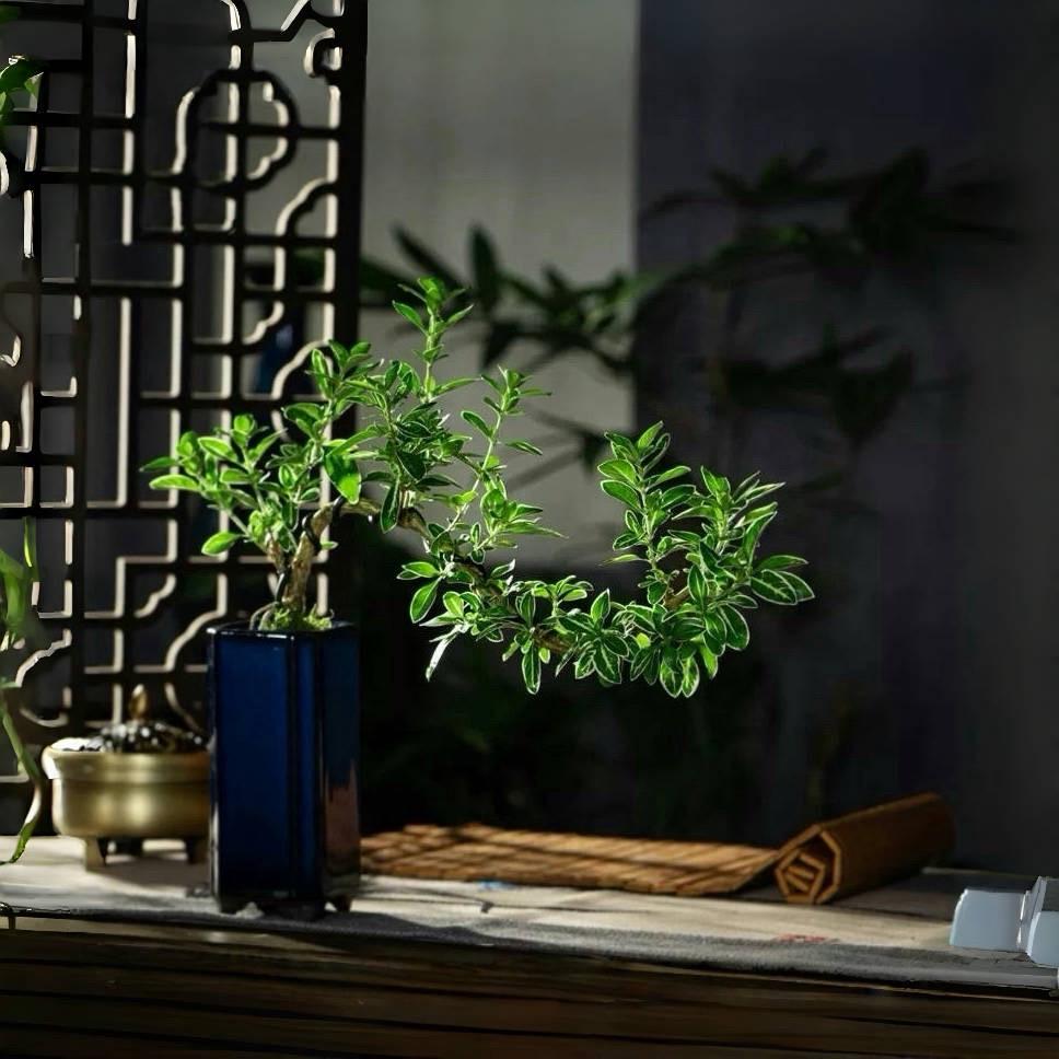 Tinnothy Sykse tweet media