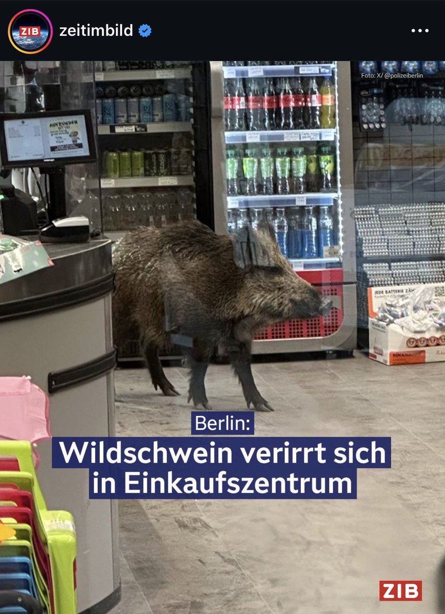 Charly Temmel | Serienmeister tweet media