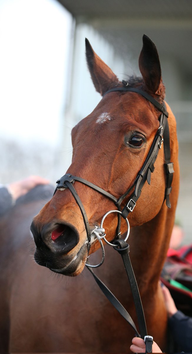 David Beard tweet media