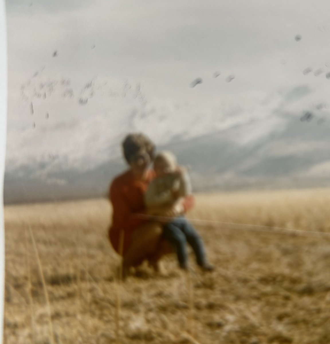 Johnny Banana tweet media