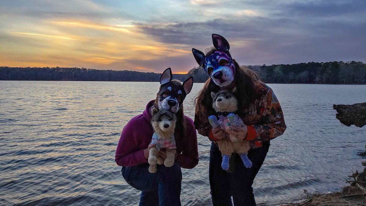 MyPuppyLife tweet media