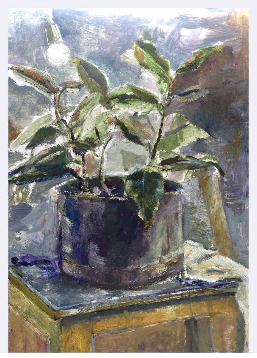 Roya Bar tweet media