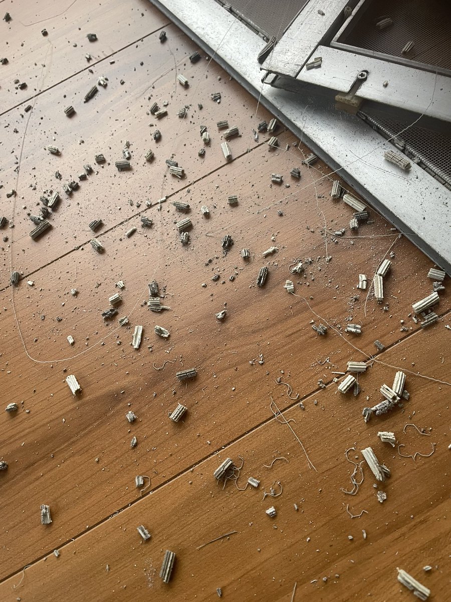 波乗りニーノ＠不動産投資家&旅人 tweet media