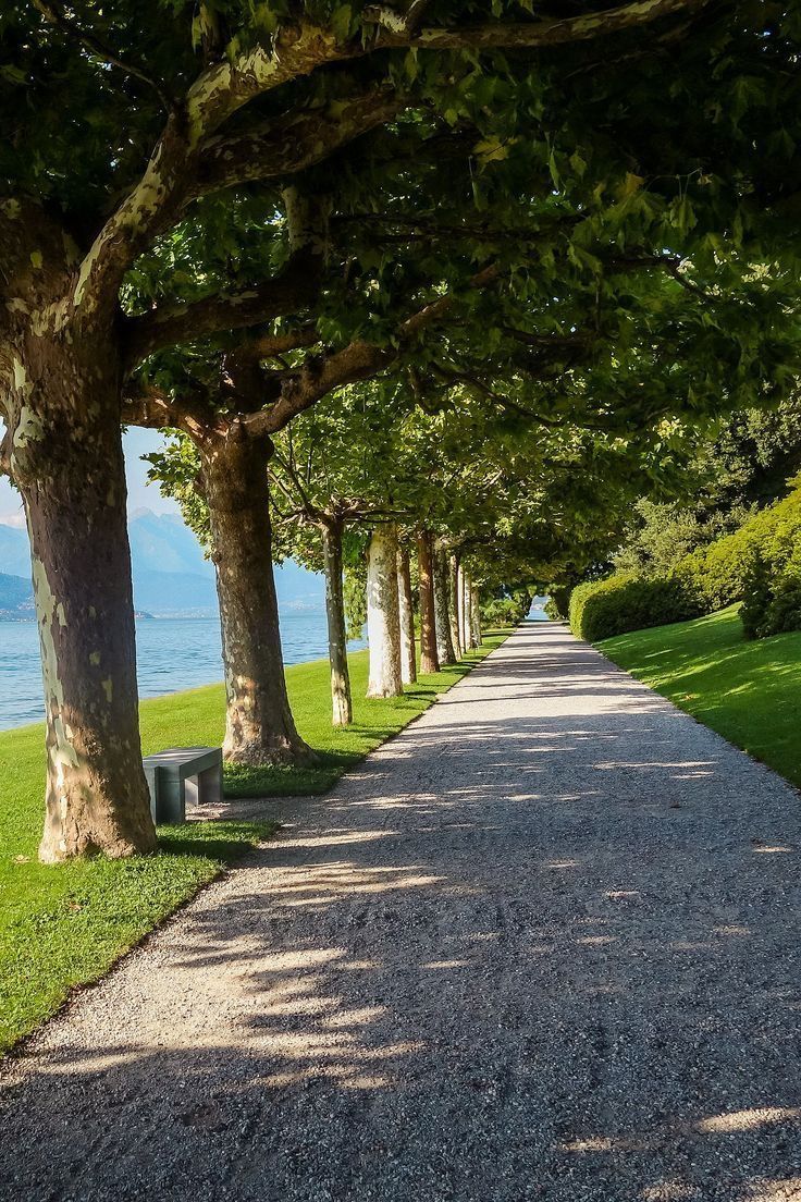 şöyle bir sakinlik (@soylebisakinlik) on Twitter photo 