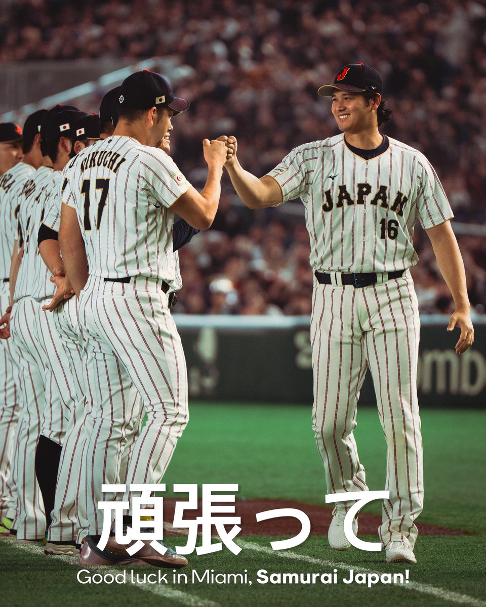 Baseball Czech tweet media