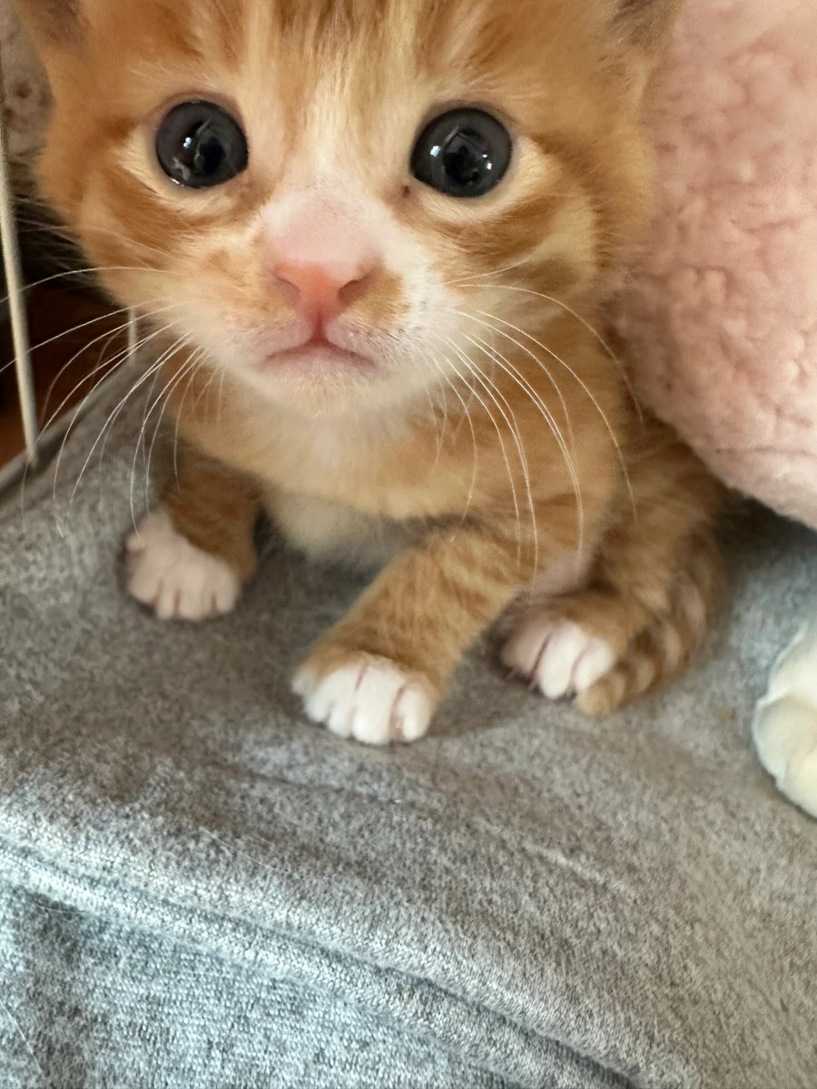 Beth Radford tweet media