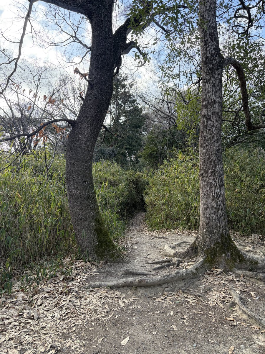 駒井俊雄 tweet media