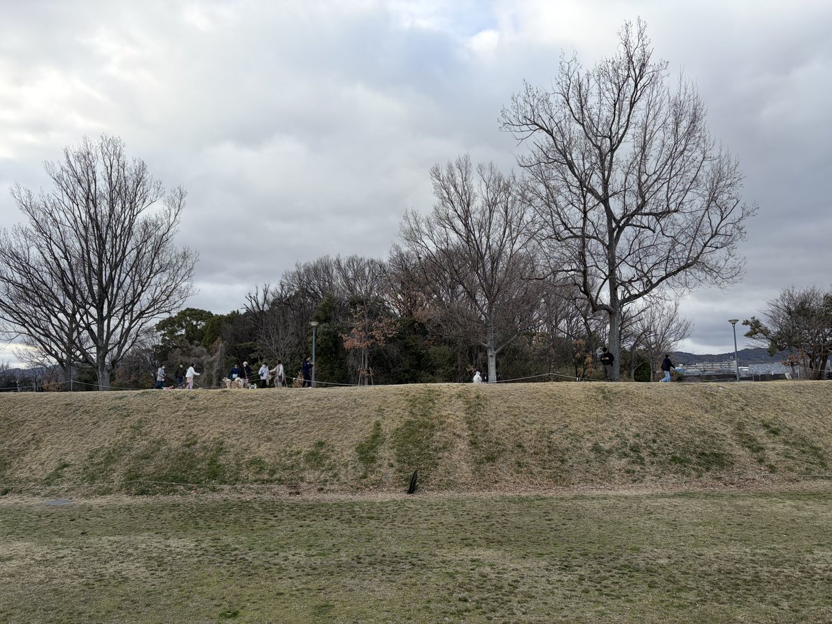 駒井俊雄 tweet media