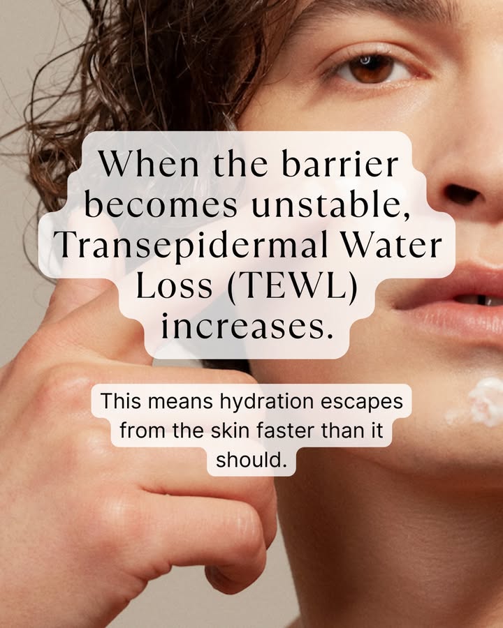 skinvirtue's tweet image. Reactive skin is rarely random.

Often, it reflects barrier instability, hydration loss, and declining tolerance.

Read the blog and explore the Pure Nourish Collection: zurl.co/ZShhI 

#SkinVirtue #SensitiveSkin #SkinBarrier #BarrierSupport