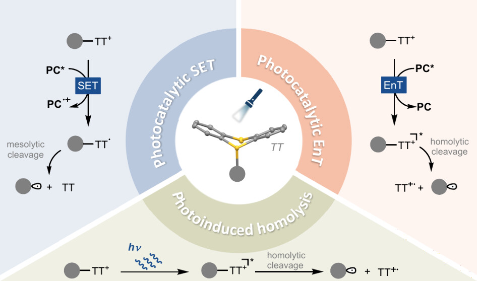 Ritter Lab tweet media