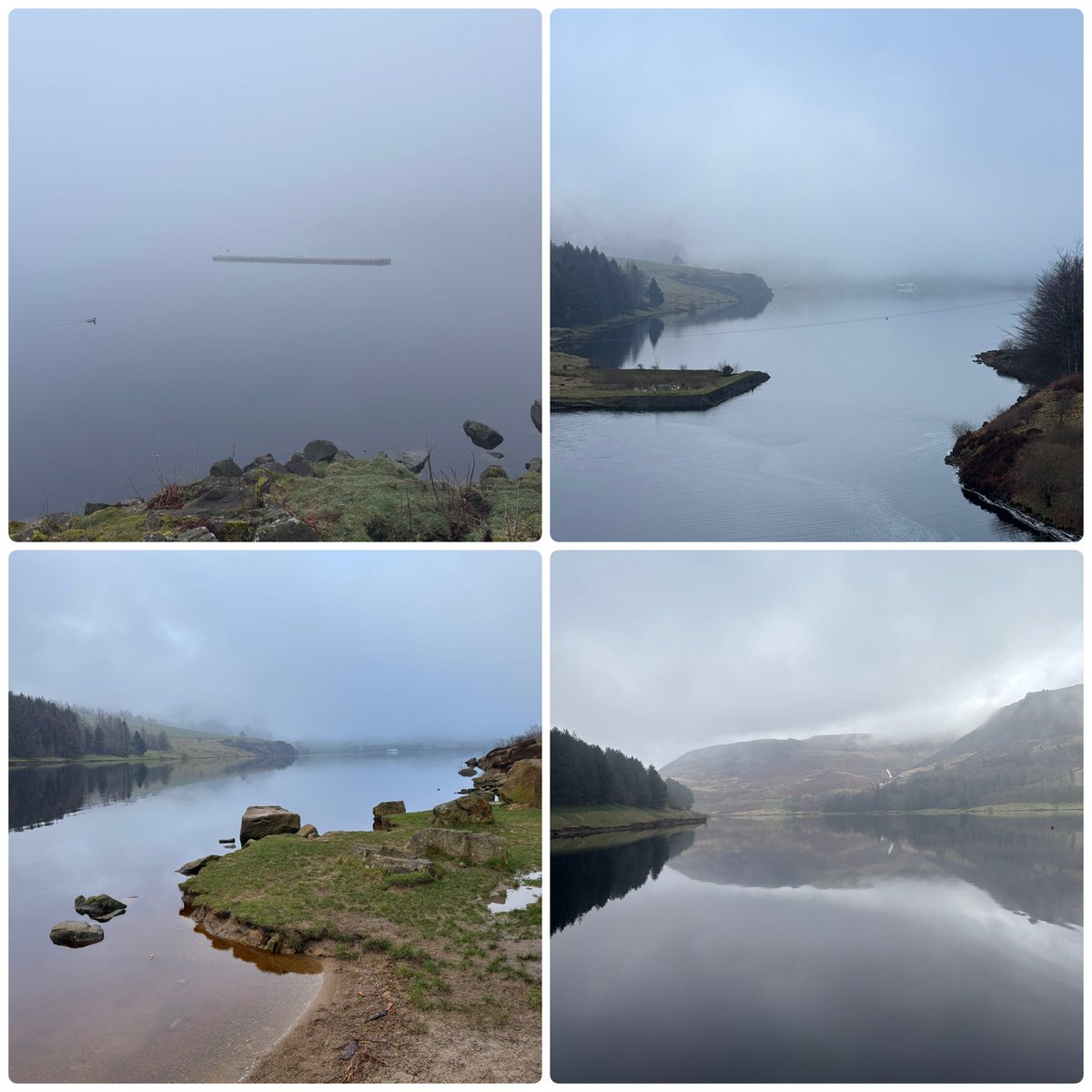 Emily ✨ tweet media