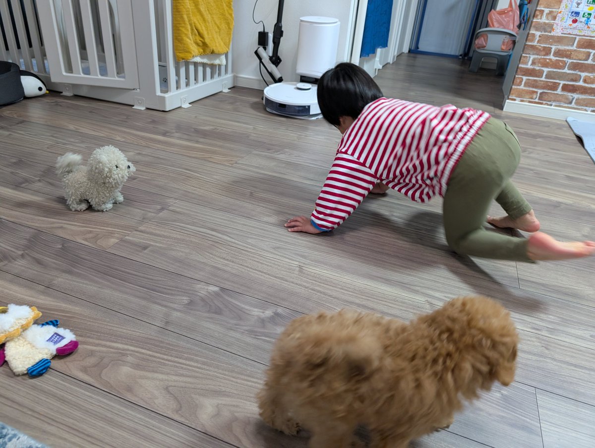 【NEXUS】ぴこ魔神 tweet media