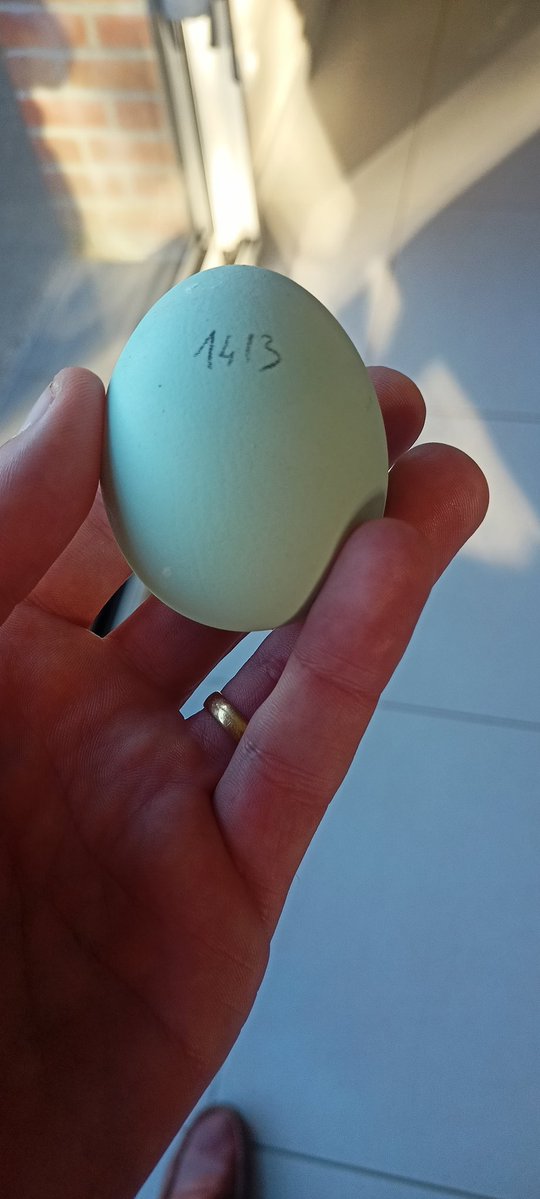 ProfDuthoit▶️ tweet media