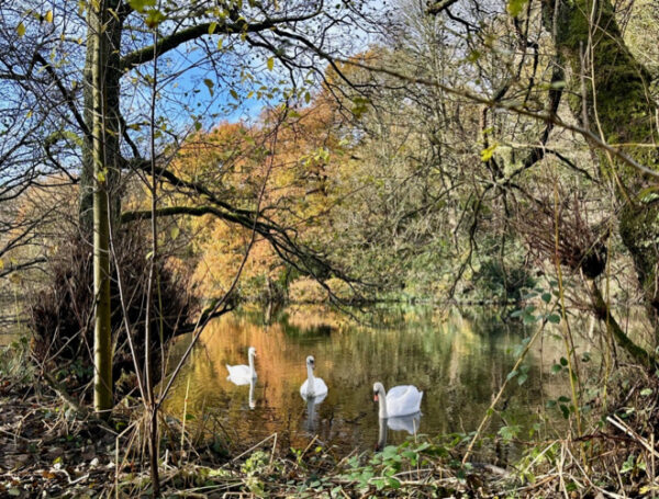 Confidential Guides tweet media