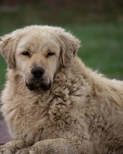 Entendu au bureau tweet media