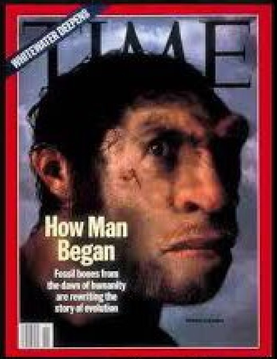 dave ridgway tweet media