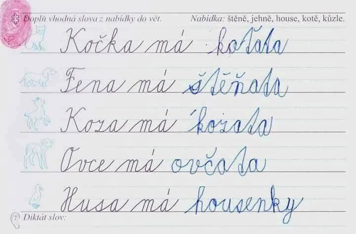 Lucienne tweet media