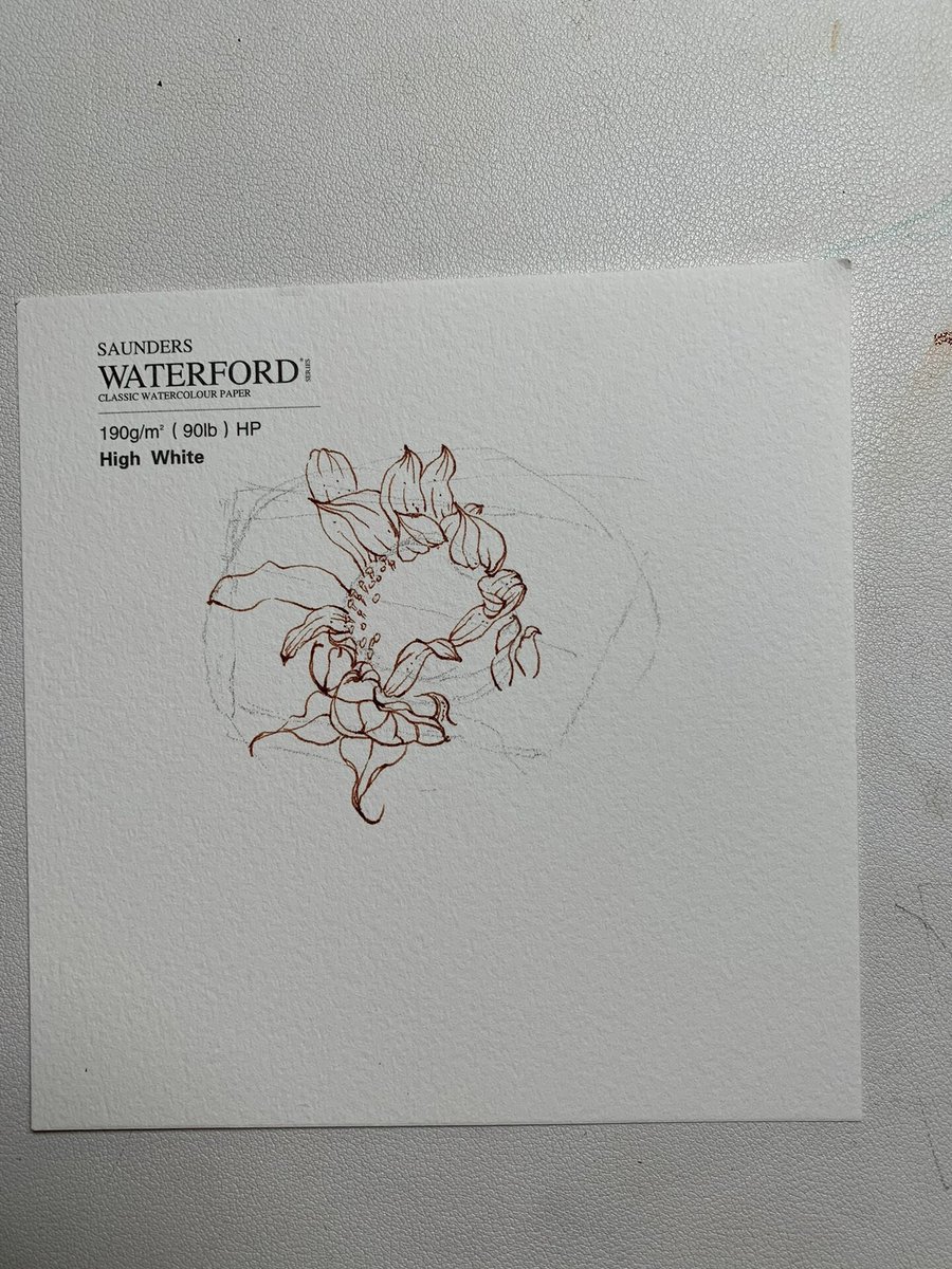 Владислав Мешков tweet media