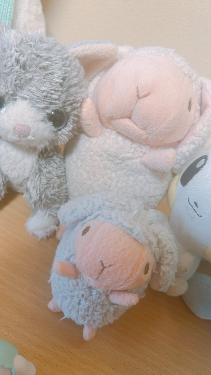 Hinatab0k_'s tweet photo. https://t.co/HbuSWiRAIv