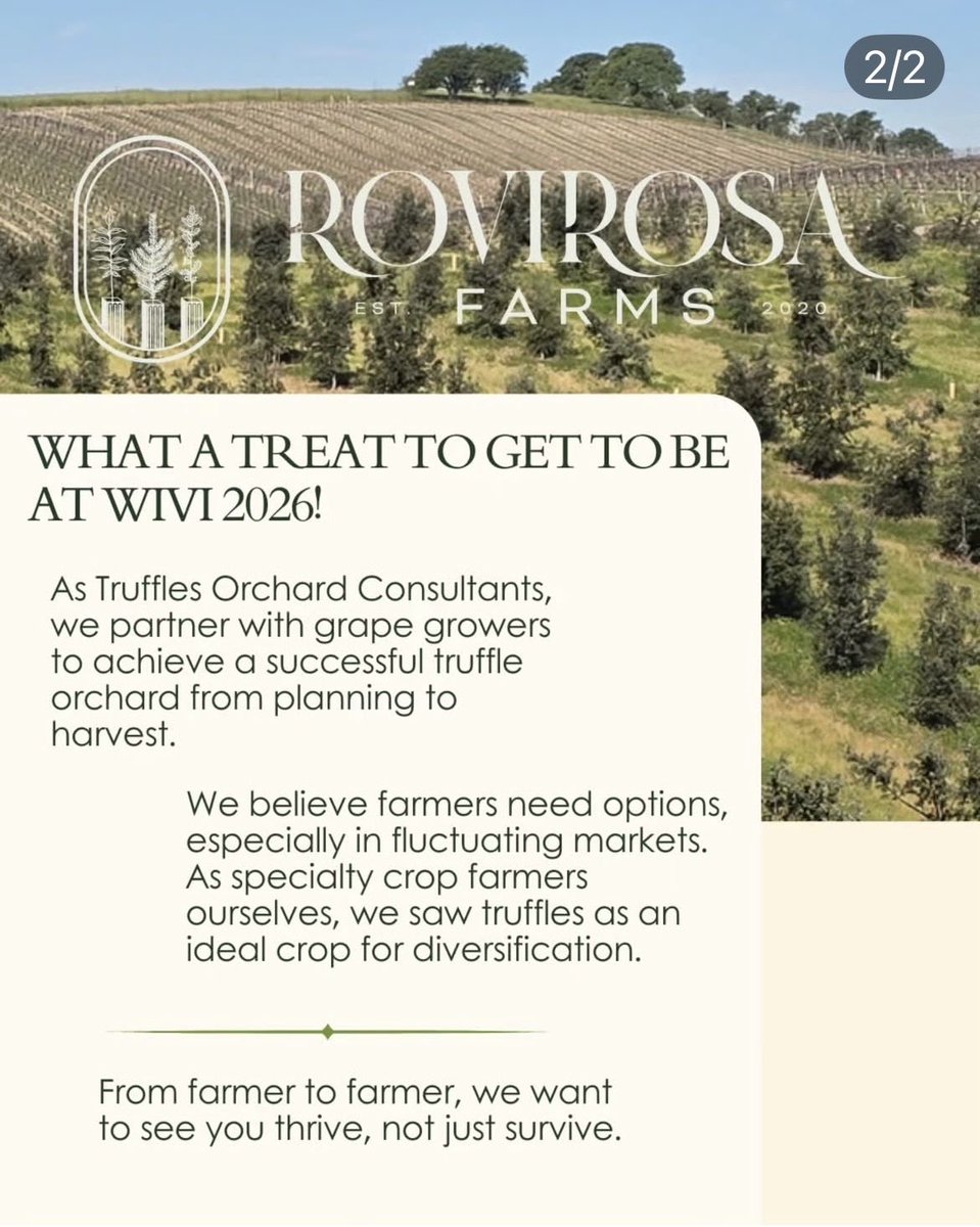 Marcos Morcillo tweet media