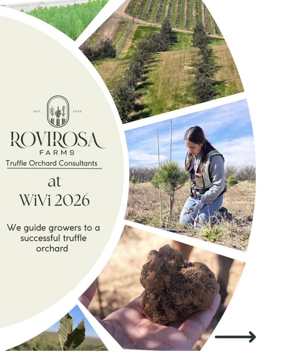 Marcos Morcillo tweet media