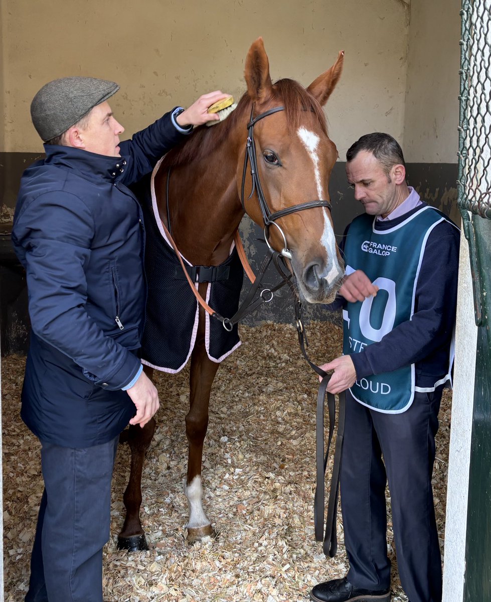 Dave Arthur tweet media