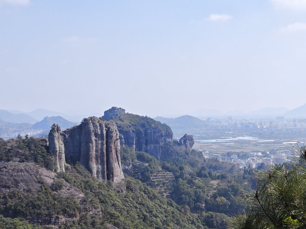 yang｜IP tweet media