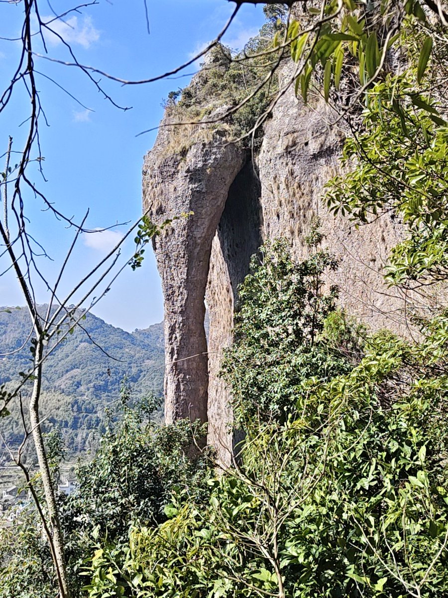 yang｜IP tweet media