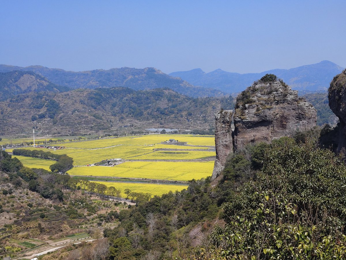 yang｜IP tweet media