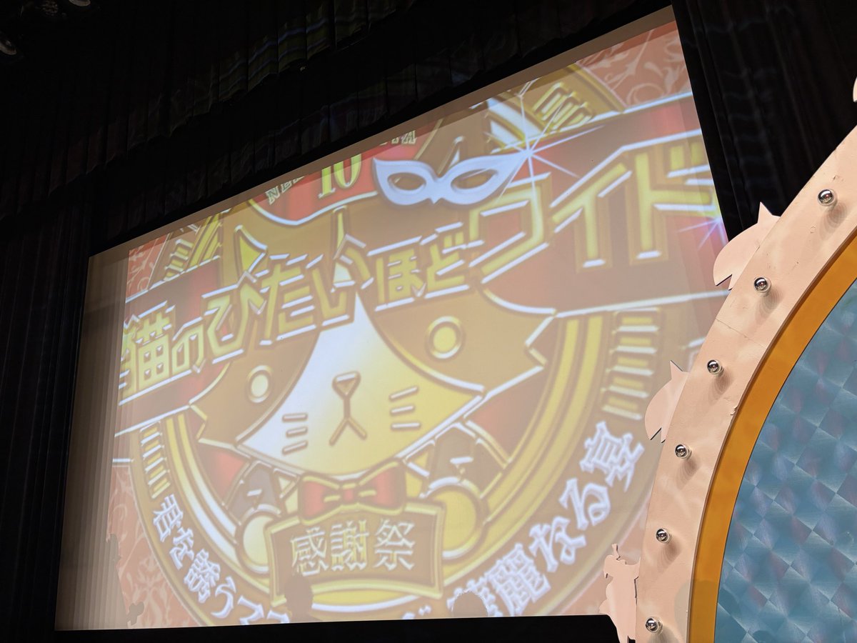 猫のひたいほどワイド10周年感謝祭！ 一部ありがとうございました